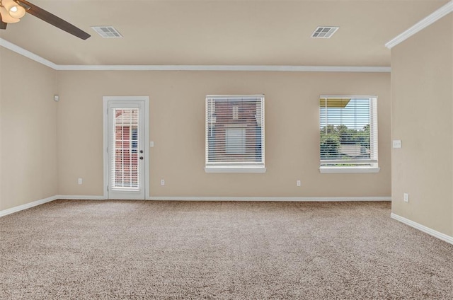 spare room featuring ceiling fan, carpet floors, and ornamental molding