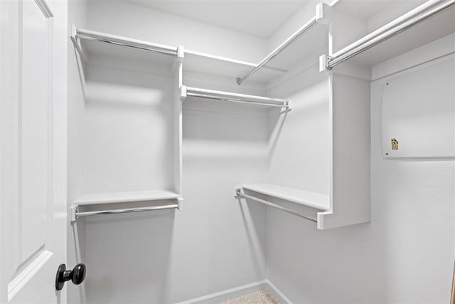 view of spacious closet