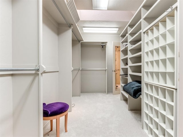 spacious closet featuring light carpet