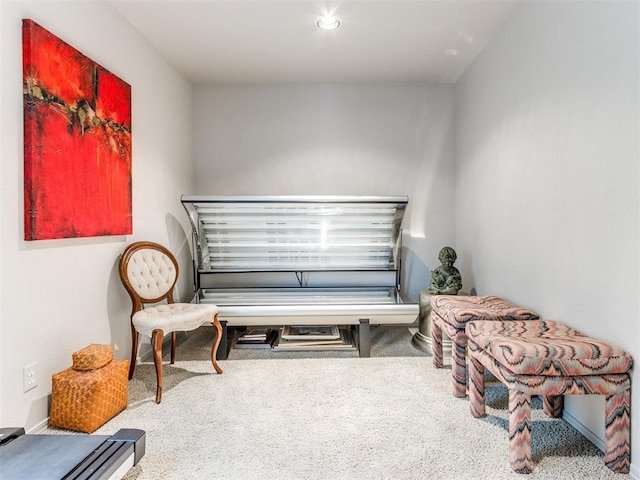 sitting room with carpet flooring