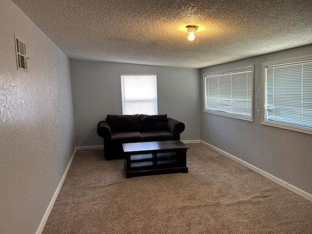 carpeted living room with a textured ceiling