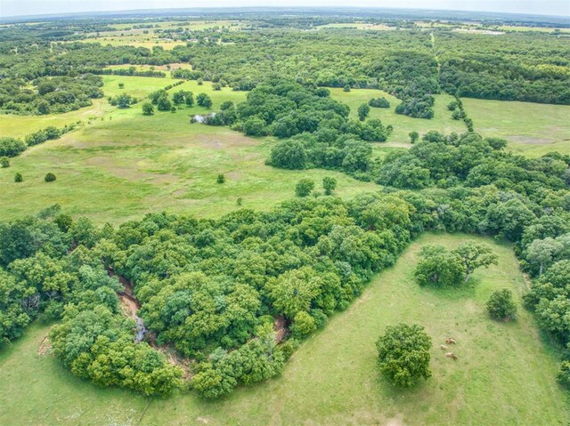 aerial view with a rural view