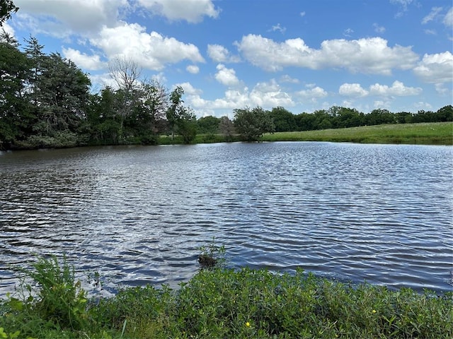 property view of water