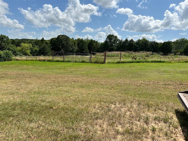 view of yard with a rural view