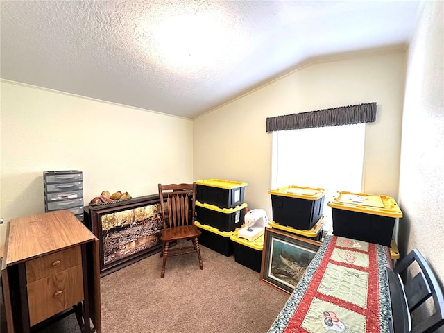 carpeted bedroom with a textured ceiling and vaulted ceiling