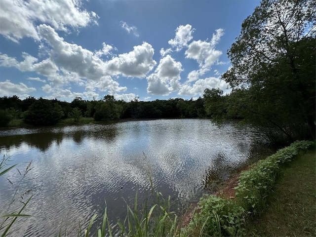355650 E 990th Rd, Prague, OK 74864 - water view with a heavily wooded area