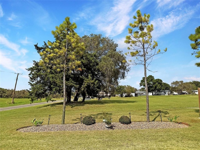 view of community featuring a lawn