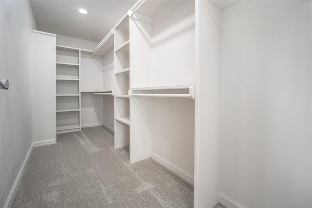 spacious closet with carpet flooring