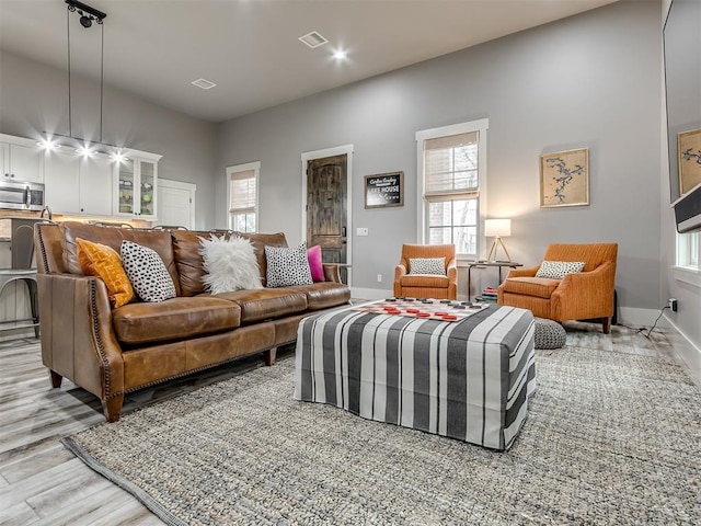 living room featuring light hardwood / wood-style floors