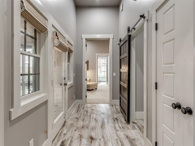 interior space featuring light hardwood / wood-style floors and a barn door