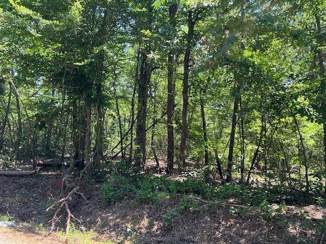 Redwood Rd, Broken Bow OK, 74728 land for sale