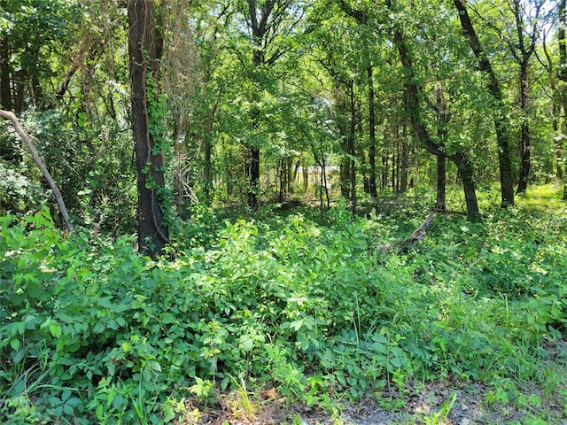 Cobb Rd, Kingston OK, 73439 land for sale