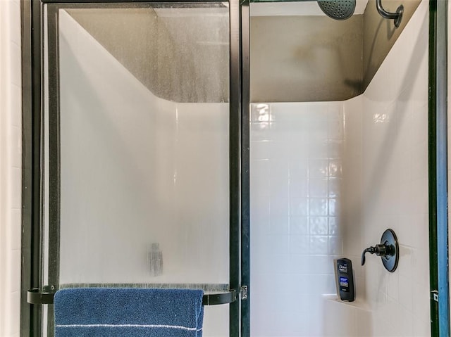 interior space featuring walk in shower