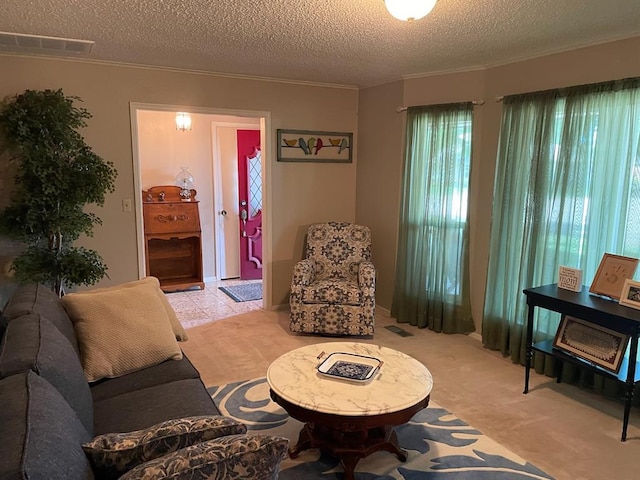 carpeted living room with a textured ceiling