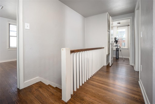 hall with dark hardwood / wood-style flooring and plenty of natural light