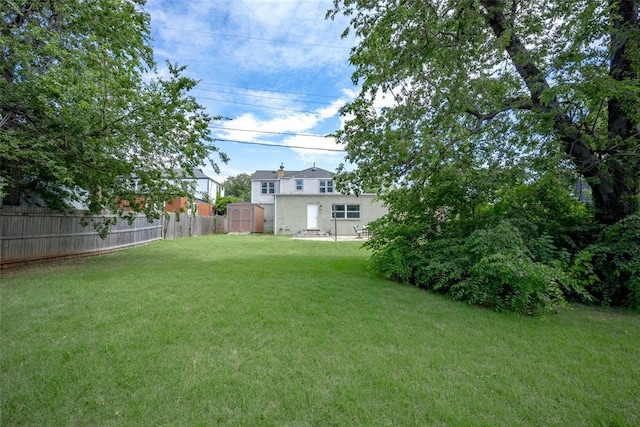 view of yard featuring a shed