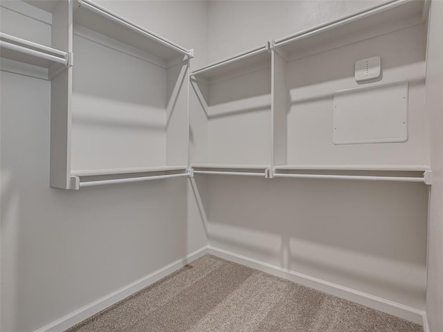 walk in closet featuring carpet