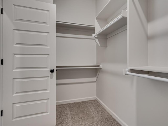 walk in closet featuring carpet