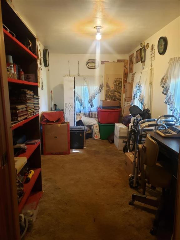 miscellaneous room with carpet