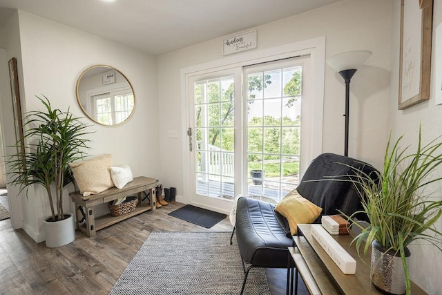 entryway with hardwood / wood-style floors