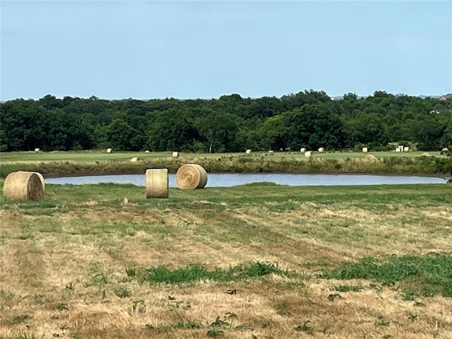 view of water feature