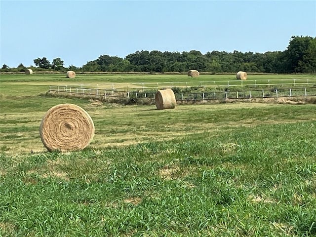 view of yard featuring a rural view