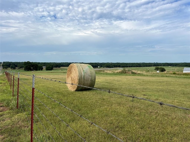 view of yard featuring a rural view