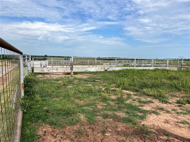 view of yard featuring a rural view