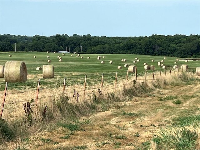 view of property's community featuring a rural view