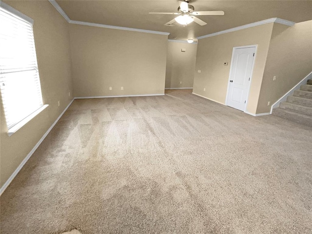 spare room with carpet flooring, ceiling fan, and ornamental molding