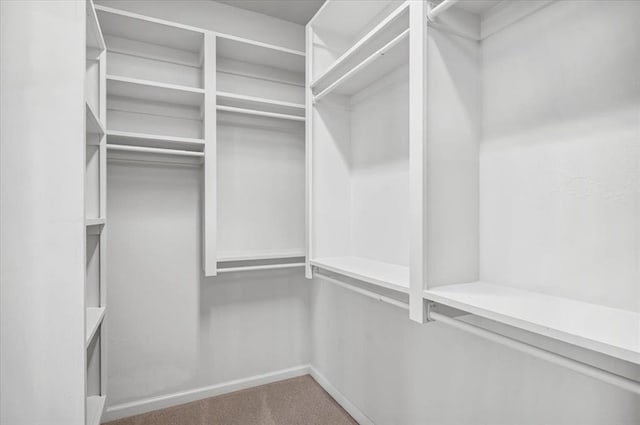 spacious closet with carpet floors