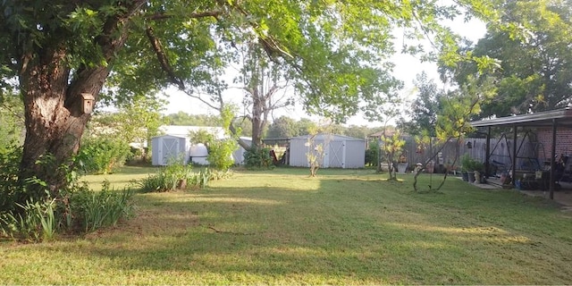 view of yard with a storage shed