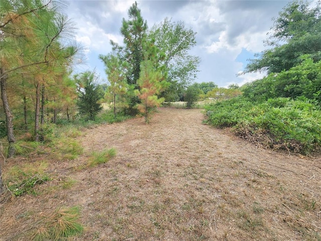 view of local wilderness