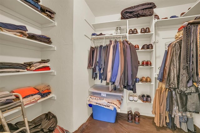 walk in closet featuring wood-type flooring