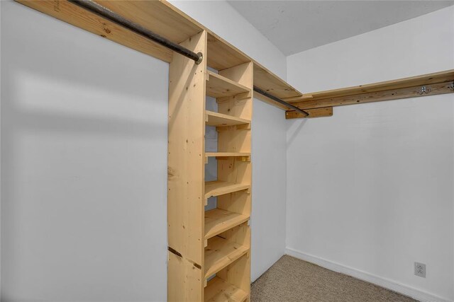 walk in closet featuring carpet flooring