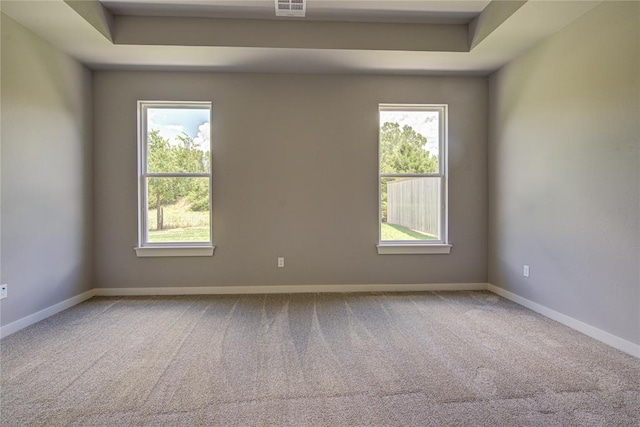 carpeted spare room featuring a tray ceiling