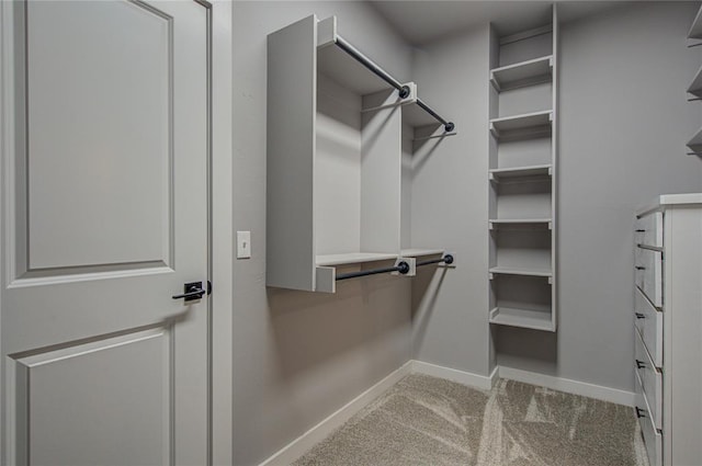 walk in closet featuring light colored carpet