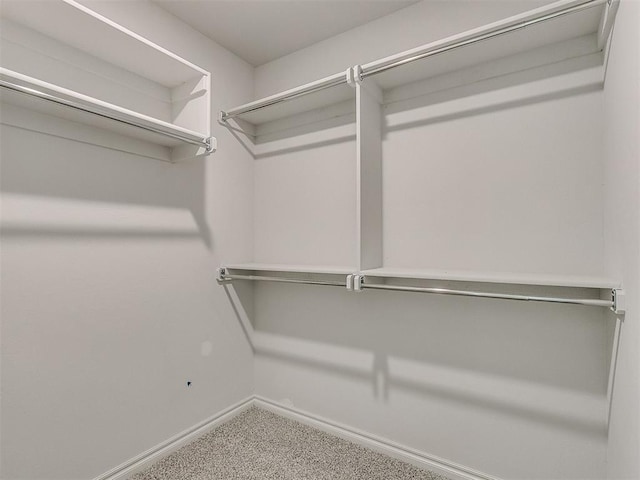 walk in closet featuring carpet