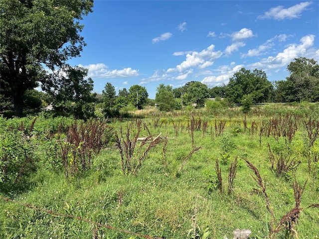 view of local wilderness with a rural view