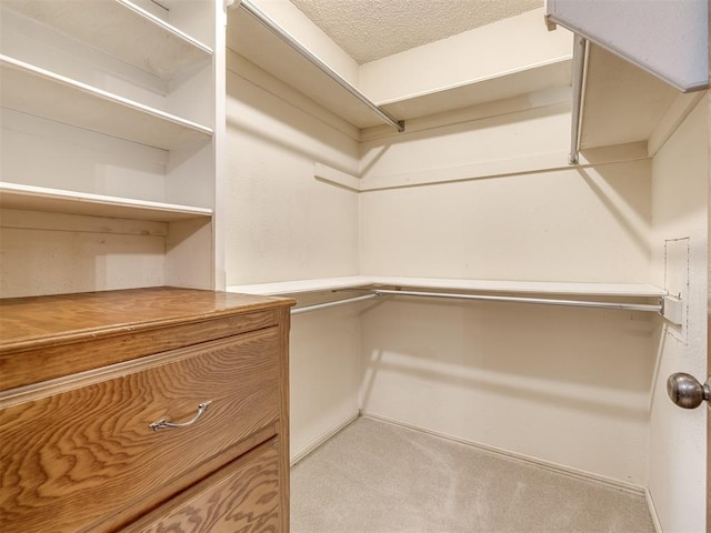 walk in closet featuring light colored carpet