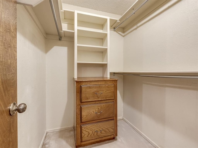 spacious closet featuring carpet
