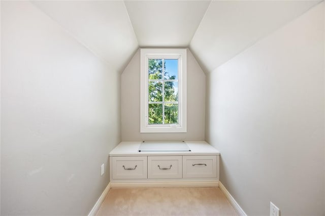 bonus room with light colored carpet and lofted ceiling