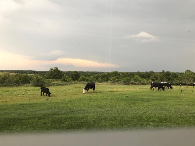 surrounding community with a rural view and a yard