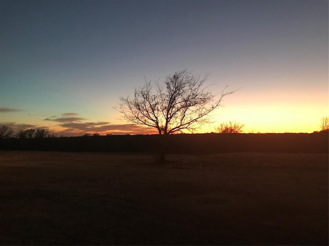 view of yard at dusk