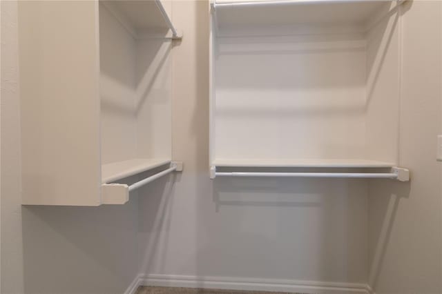 view of walk in closet