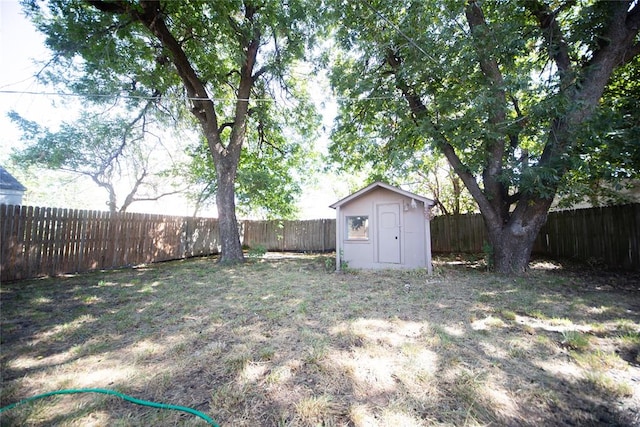 view of yard featuring a storage unit