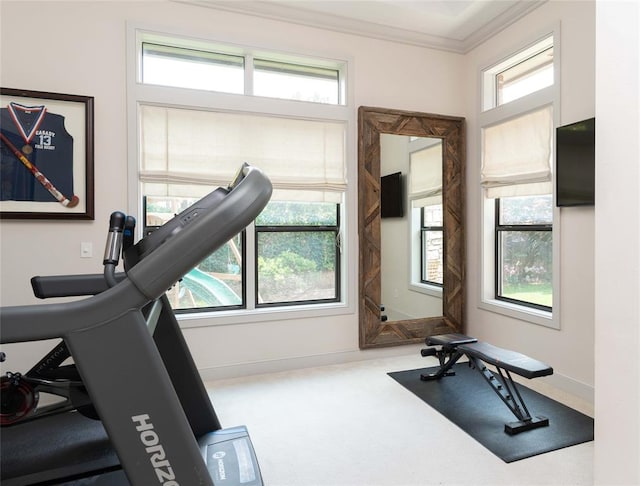 exercise area featuring carpet floors, plenty of natural light, and ornamental molding