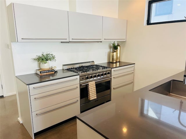 kitchen with high end stainless steel range oven