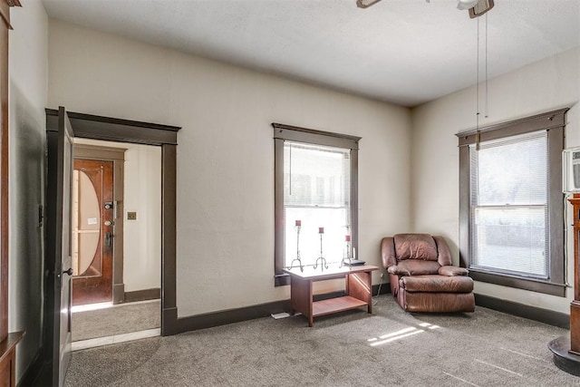 sitting room with carpet and a healthy amount of sunlight