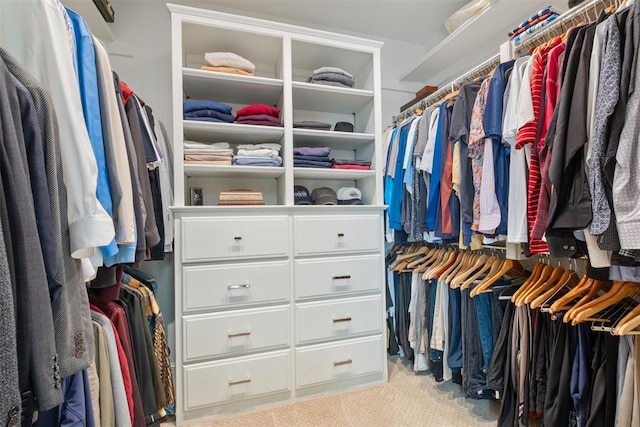 spacious closet with light colored carpet